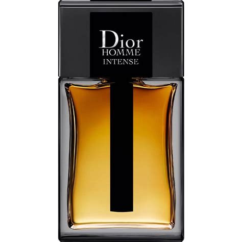 dior homme 2011 review.